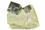 Two Large Natural Pyrite Cube In Rock - Navajun, Spain #325098-1